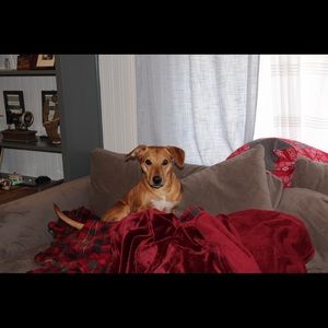 Meet your Posher, Sheena